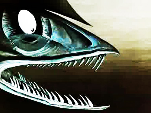 Wise Minnow
(ФОТО-Ps*SHUM)