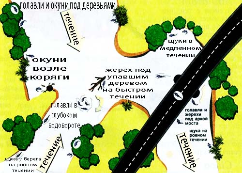 КОЛЕБЛЮЩИЕСЯ БЛЕСНЫ
(ФОТО-Ps*SHUM)